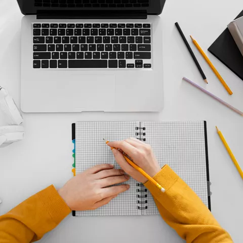 Writing & Translations